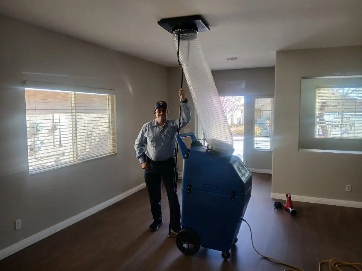 Professional Dryer Vent Cleaning work inside a Harrington Park home